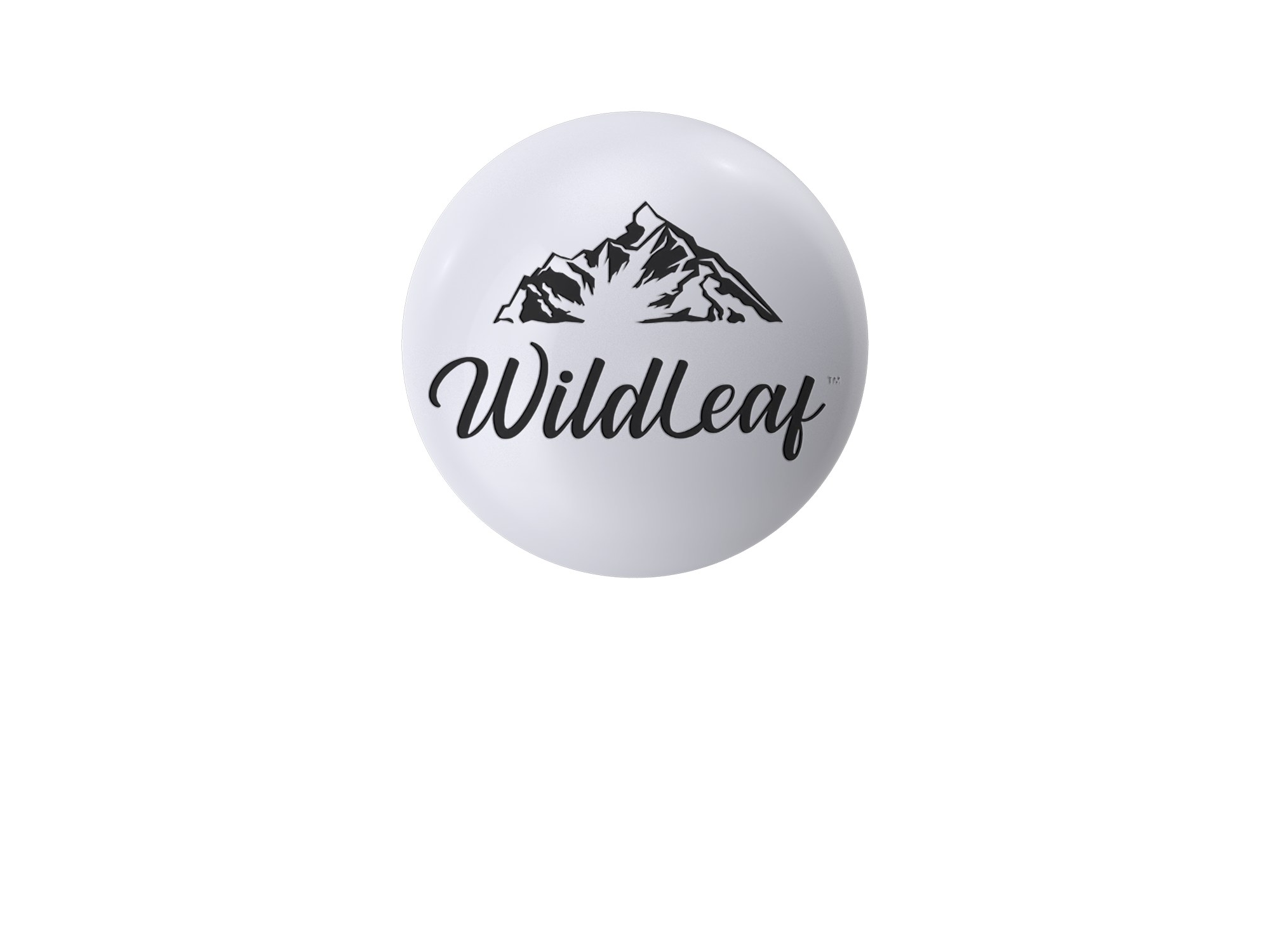 Negative Space Logos:The term "negative space" refers to the practice of leaving blank areas in a visual representation of a symbol, shape, or image. Depending on the context and your goals, the effect may be subtle or blatant. For example, Fed Ex, WWF, etc.In most cases, a negative space logo will feature two distinct images: a surrounding element and a contained one. It could also be two letters or a combination of letters plus a shape.