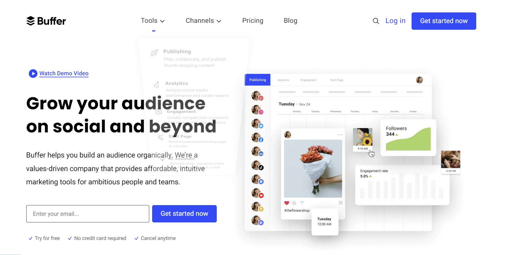 audience