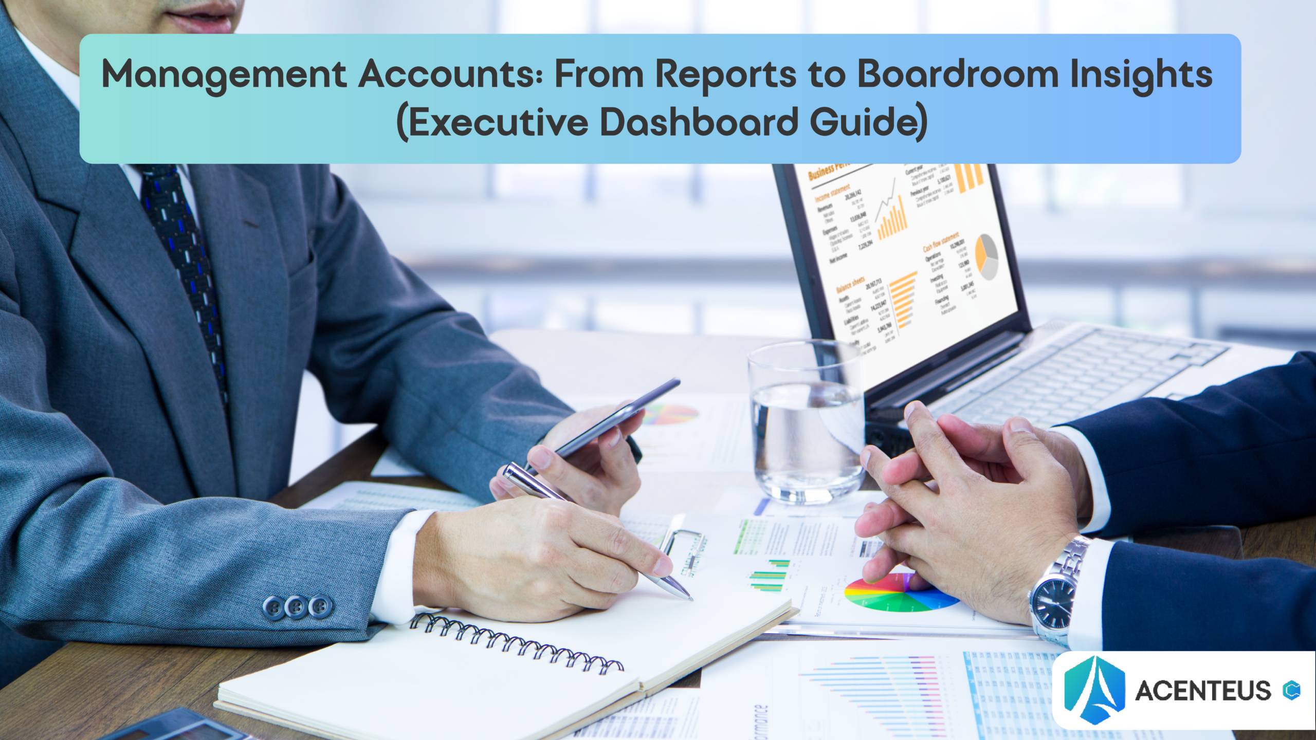 Management Accounts: From Reports to Boardroom Insights (Executive Dashboard Guide)